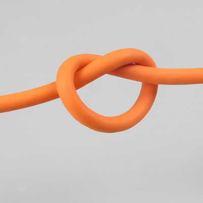 工場供給 26awg 産業用イーサネット プロフィネットタイプA FC TP標準ケーブル